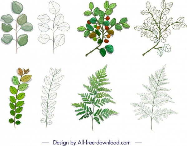 ícones de ramo de folha coloridos esboço moderno