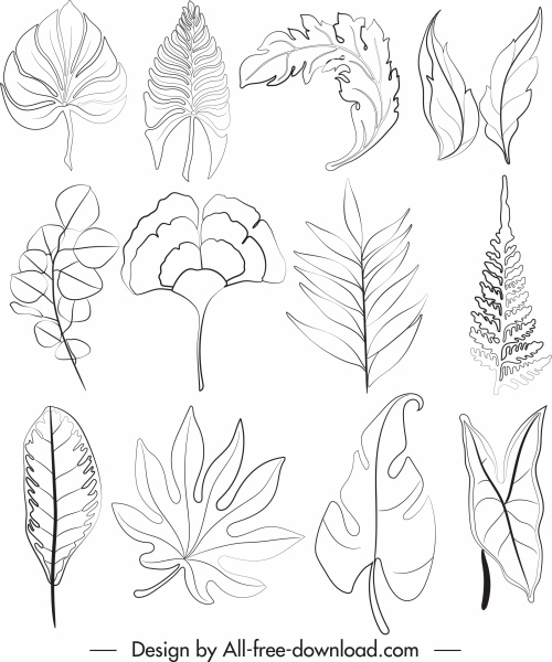 ícones de folha preto branco desenho desenhado à mão