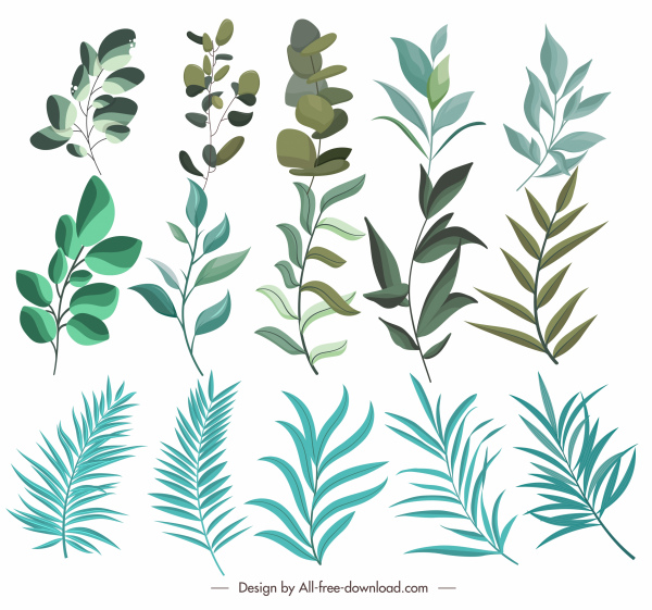 ícones de folha design verde clássico