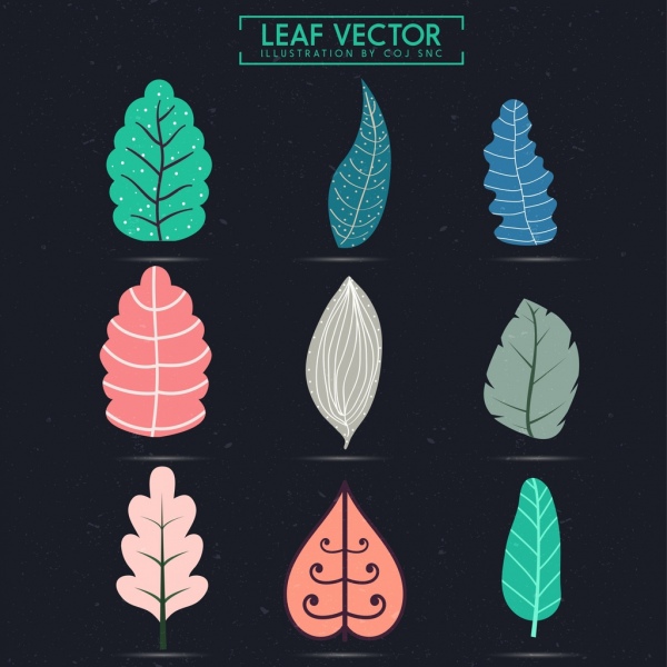 Koleksi ikon daun berwarna bentuk sketsa isolasi
