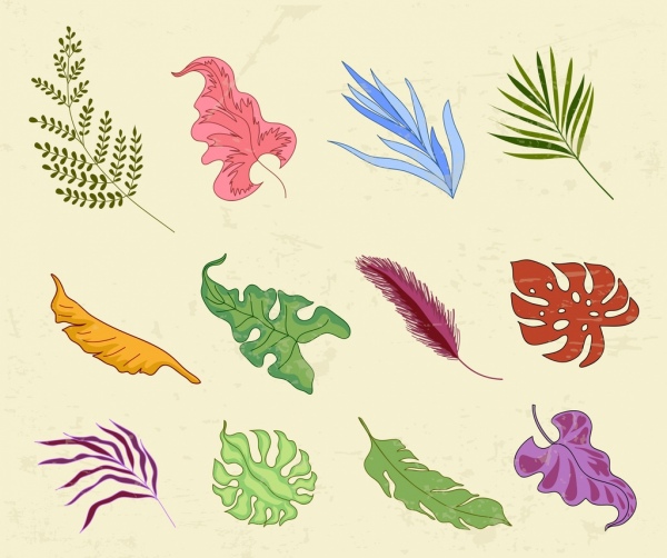 bộ sưu tập biểu tượng lá nhiều màu hình dạng thiết kế