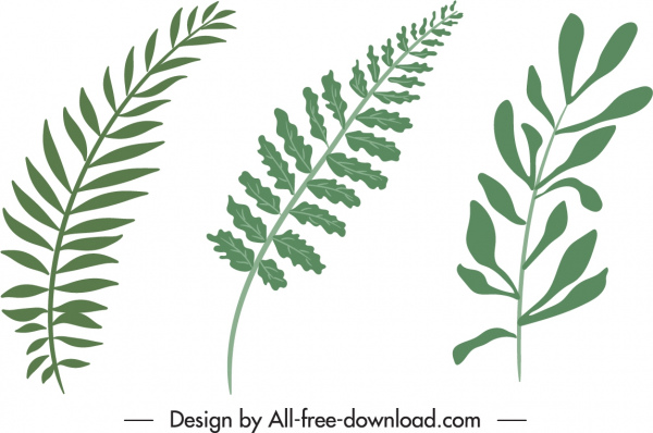 Blatt Symbole grün flach handgezeichnetes Design