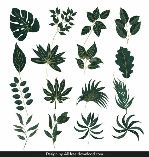iconos de hojas de formas verdes boceto