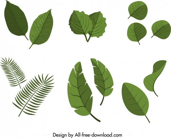 iconos de hojas establece decoración verde diseño plano 3D