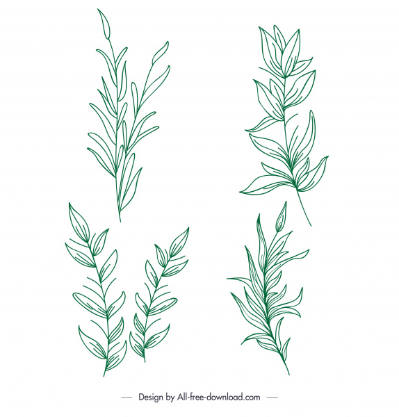 daun ikon tanaman hijau klasik handdrawn sketsa