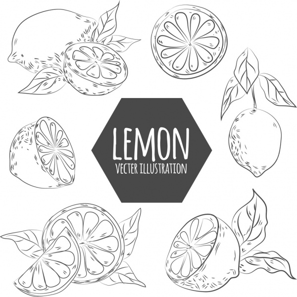 лимонные элементы дизайна, нарисованный от руки, эскиз