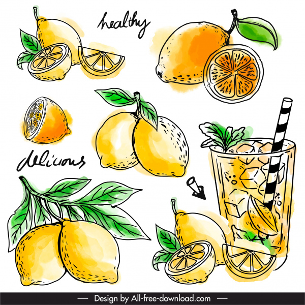 레몬 주스 디자인 요소 복고풍 핸드인출 스케치