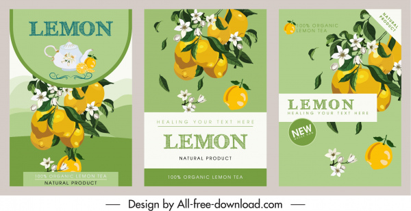 productos de limón flyer plantillas coloridas elegancia clásica