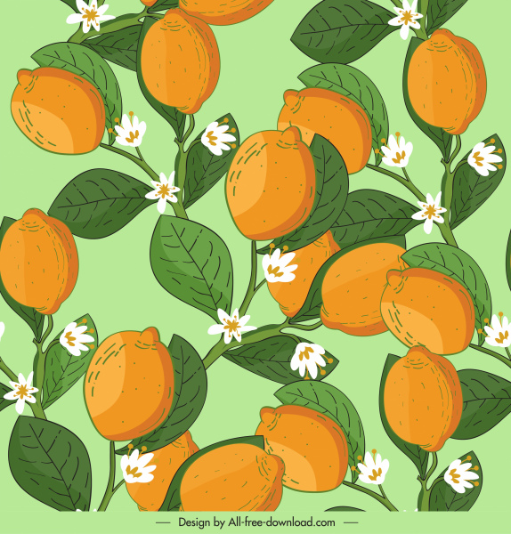 柠檬树图案五颜六色的经典装饰绽放素描