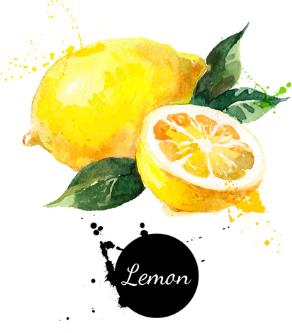 vetor de aquarela de limão