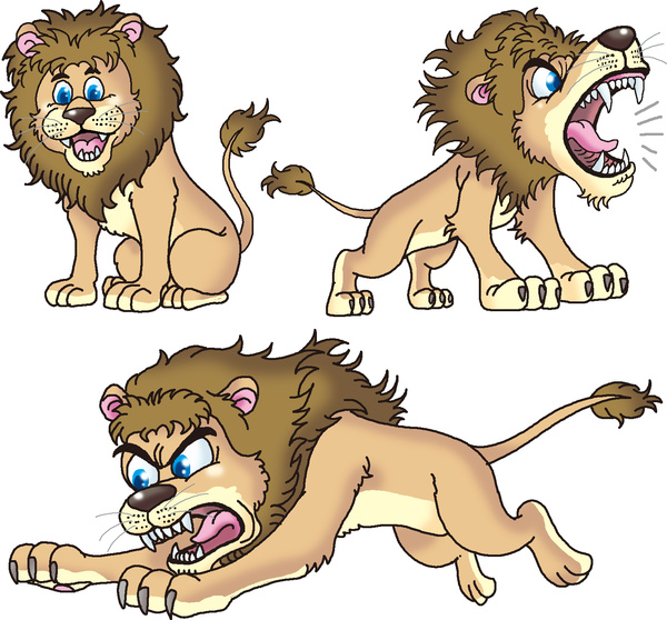 Lion 28