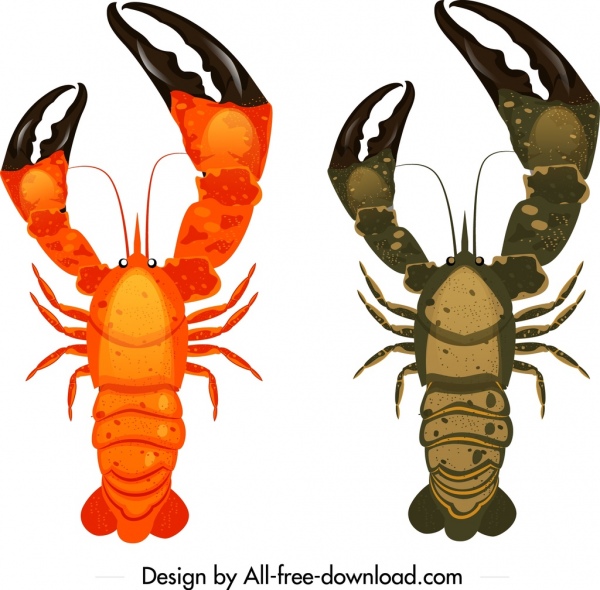 ícones de lagosta grandes garras decoração colorido mockup design