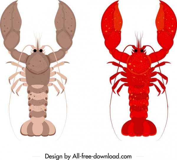 Lobster ikon berwarna mockup sketsa