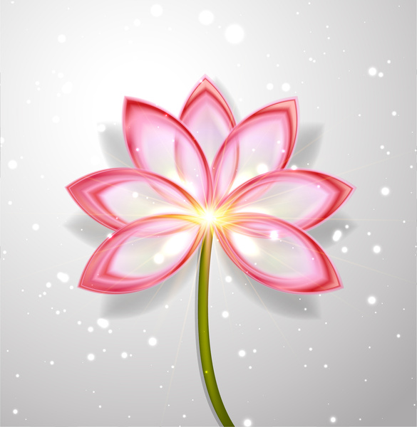 résumé de fleur de Lotus