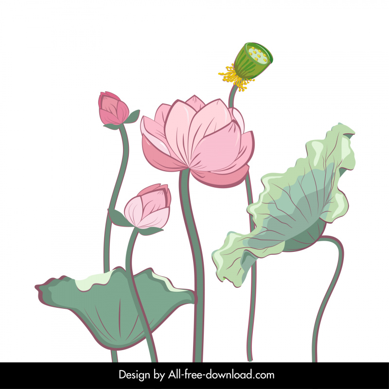 Fondo de flor de loto elegante diseño clásico dibujado a mano