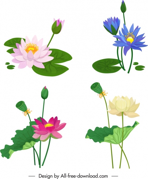 Ícones da flor de lótus design clássico colorido
