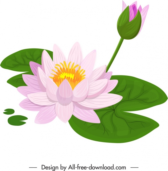 fleur de lotus peinture colorée classique dessiné à la main croquis