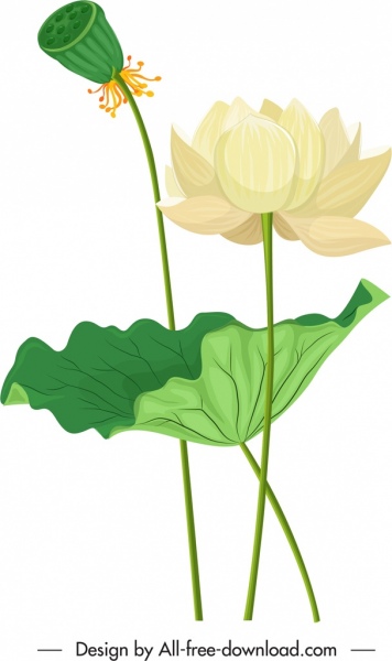 ภาพวาดดอกบัวดอกไม้บานร่างสีการออกแบบคลาสสิก