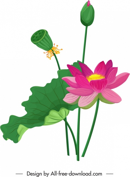 ดอกบัวจิตรกรรมดอกไม้ใบตูมไอคอนที่มีสีสันคลาสสิก