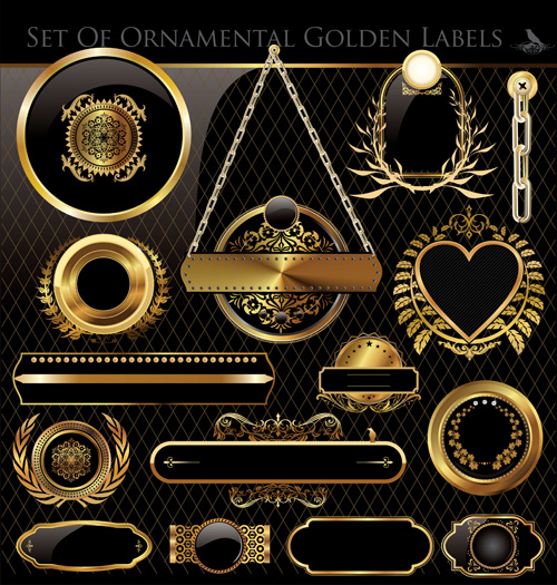 rótulos e molduras douradas luxuosas design vector