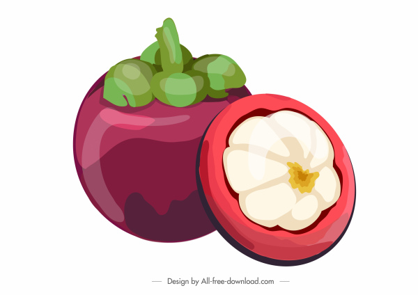 Mangostan-Frucht-Symbol farbig klassisches Design geschnitten Skizze