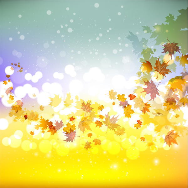 Ahorn Blatt Herbst Hintergrund