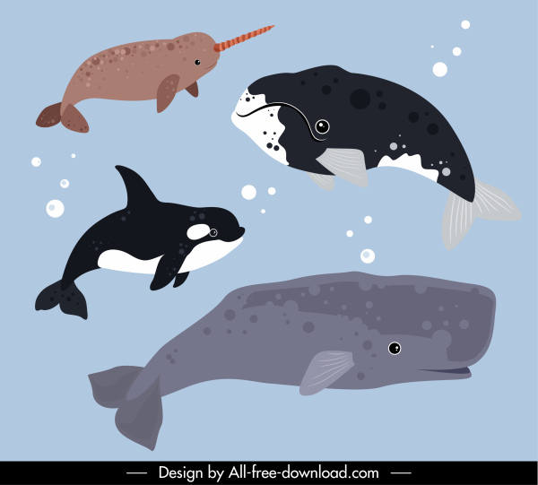 animais marinhos ícones baleias espécie esboço