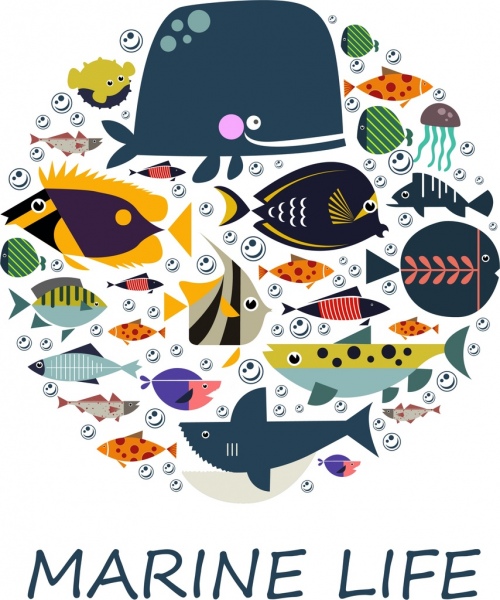 Marine Hintergrund bunte Fische Symbole Kreis layout