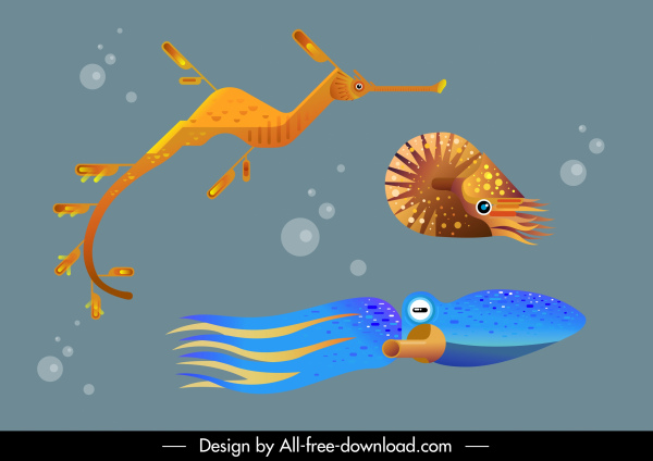 especies marinas de fondo marino boceto de diseño moderno coloreado