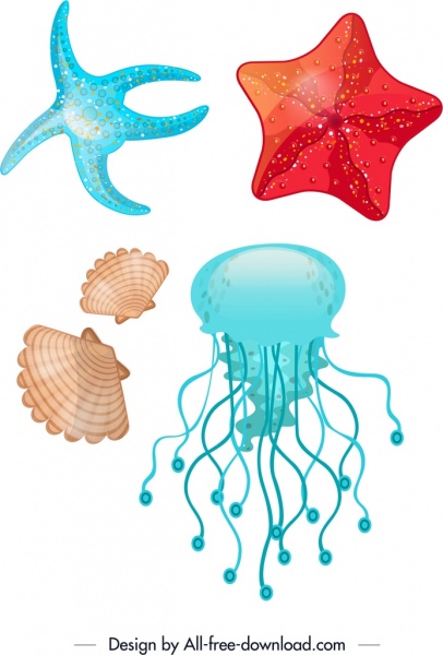 étoile de mer fond marin shell méduses icônes décorées de couleurs vives