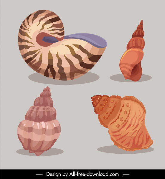 iconos marinos de caracoles coloreado boceto clásico