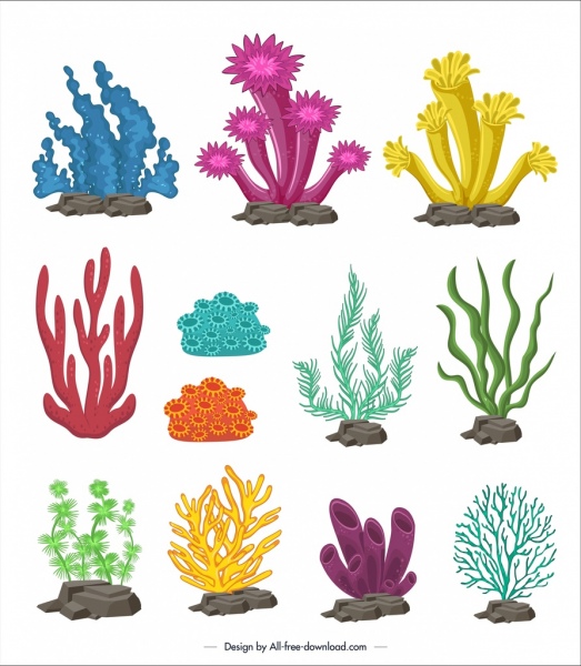 عناصر التصميم البحري الرموز المرجانية الملونة