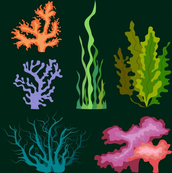 Iconos coloridos adornos planos planta marina
