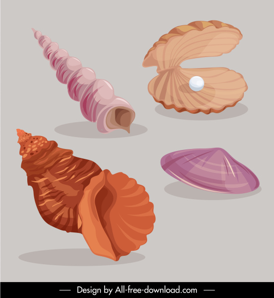 iconos de concha marina coloreado boceto clásico