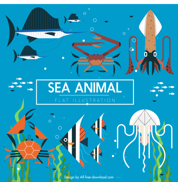 海洋物種背景五顏六色的平面經典素描