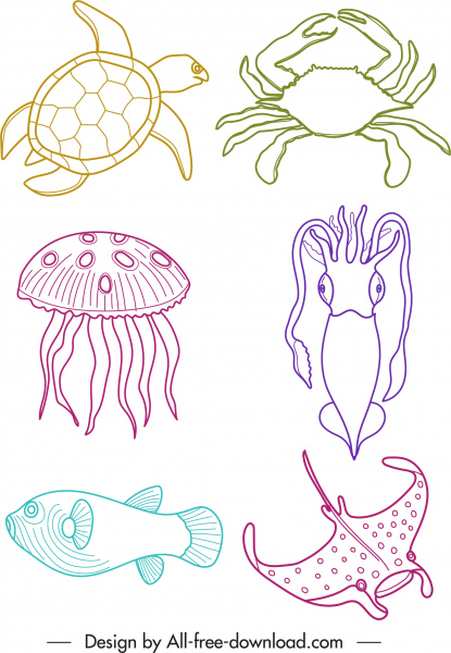 iconos de especies marinas coloreado boceto dibujado a mano