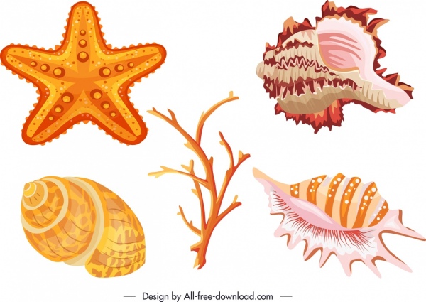 ícones de espécies marinhas de shell esboço de estrela do mar de coral