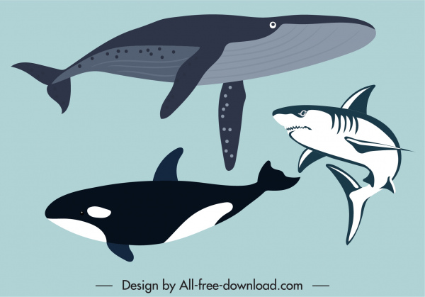deniz türü simgeleri balinalar köpekbalığı kroki klasik tasarım