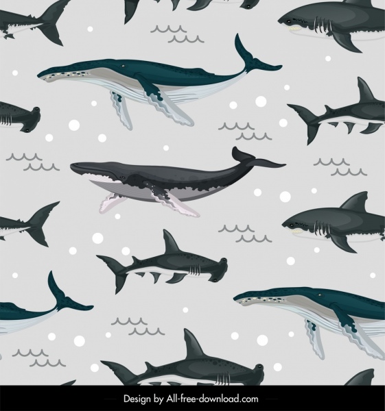 Морские виды узор киты акулы значки повторяющийся дизайн