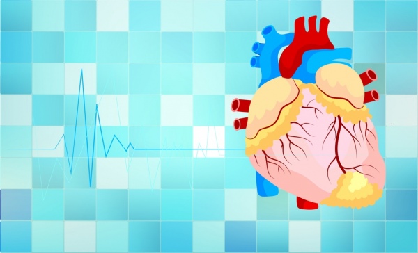 ícone de modelo de coração médico de plano de fundo colorido design 3d
