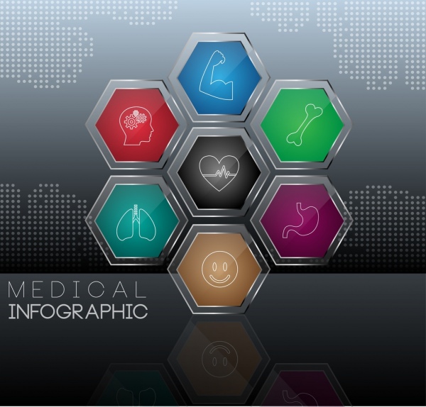 medico infographic luccicante multicolore esagono arredamento organo simboli