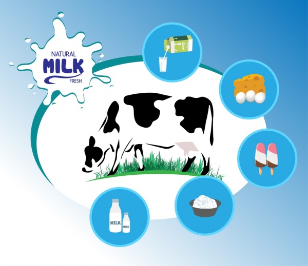 prodotti a base di latte di mucca per alimentare infographic icone