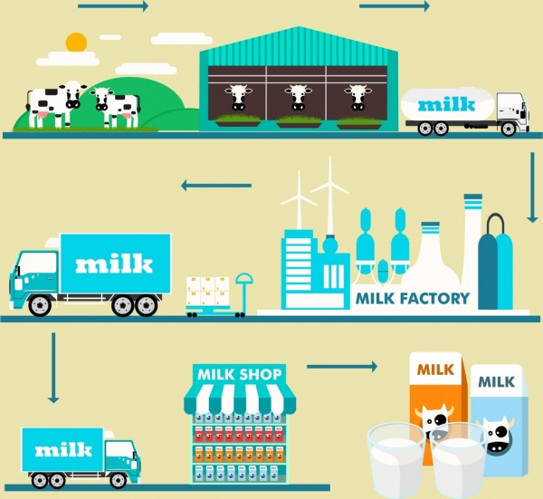 우유 공급 체인 infographic 다양 한 프로세스 디자인