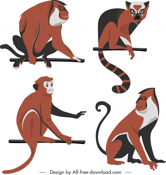ícones espécie macaco colorido design clássico