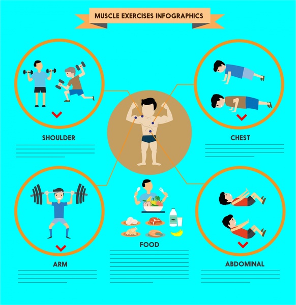 ilustração de infográficos de exercícios musculares com vários exercícios