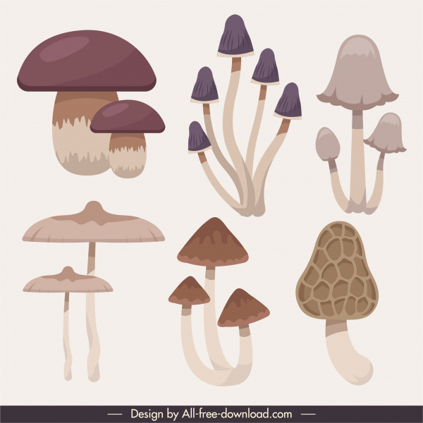 ícones de cogumelo clássico flat formas esboço