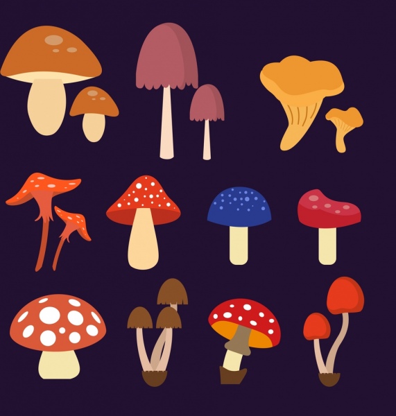 raccolta di vari tipi di fungo le icone colorate