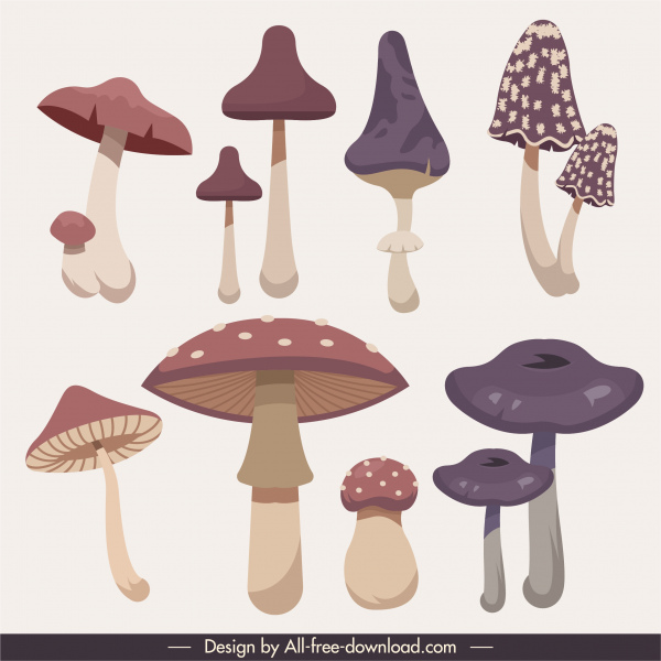 ícones de cogumelo desenho clássico colorido