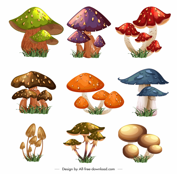 ícones de cogumelo esboço moderno colorido