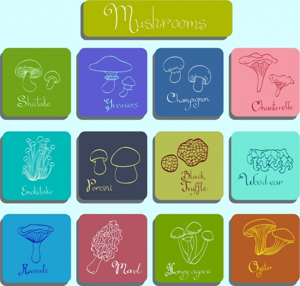 Mushroom iconos diferentes tipos cuadrados piso de aislamiento